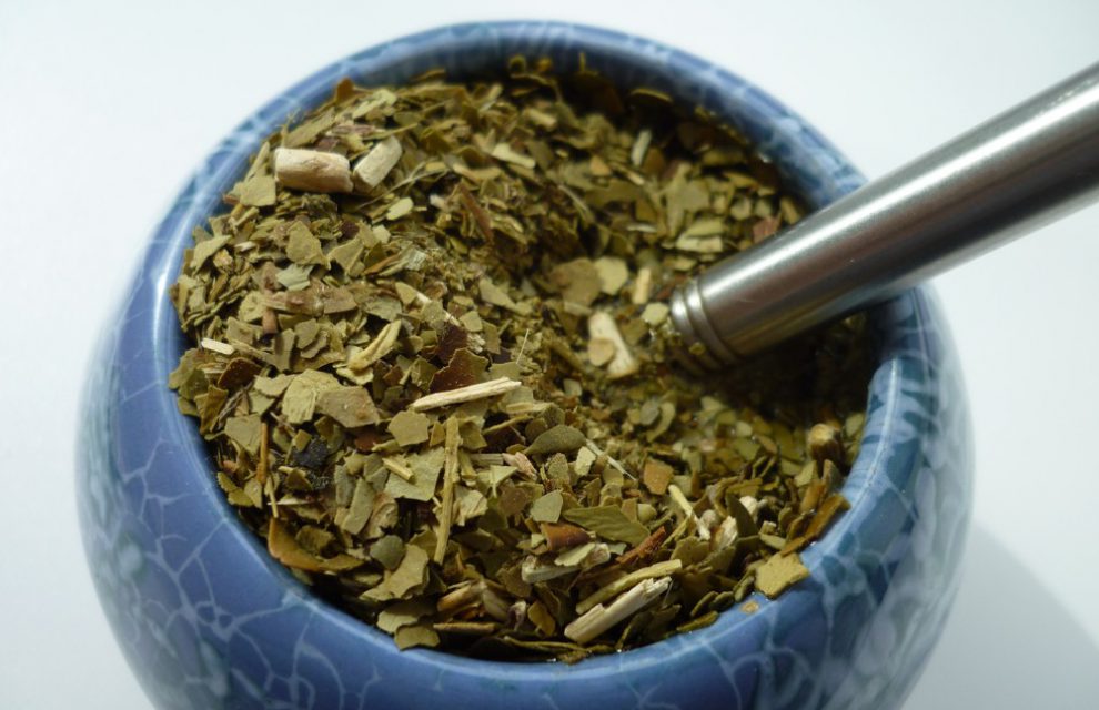 Pierwsze kroki z Yerba Mate